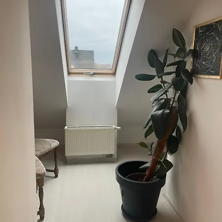 Motylkowa 125 M2 5 Pokoi Апартаменты *